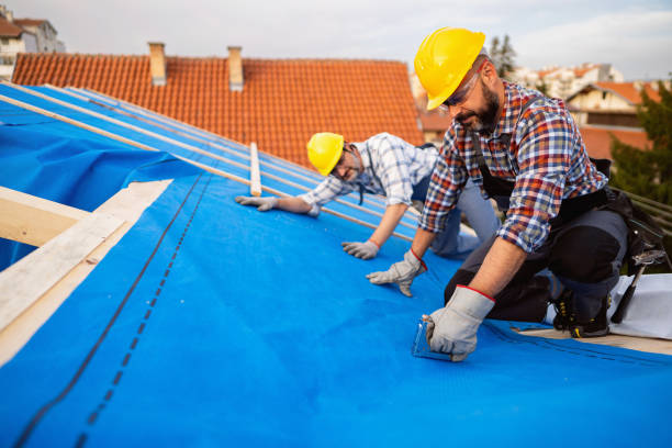 Best Roof Leak Repair  in Warren, IL